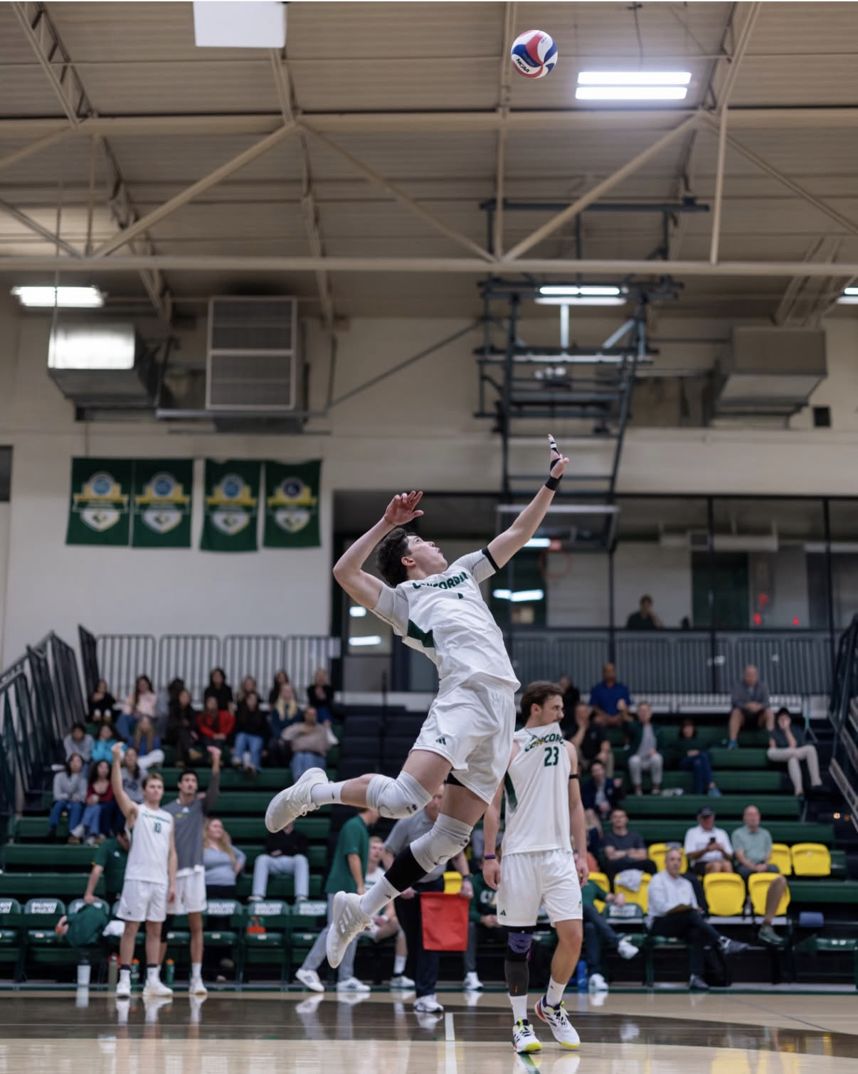 Men's volleyball in action